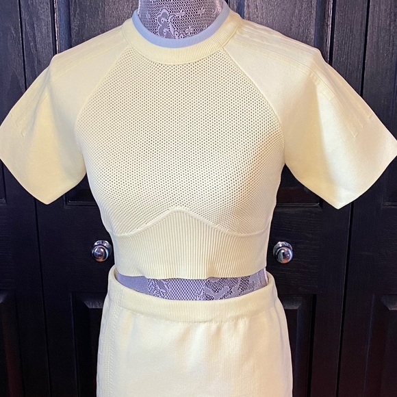 IVY PARK Tops - IᐯY ᑭᗩᖇK  Knit Crop Top